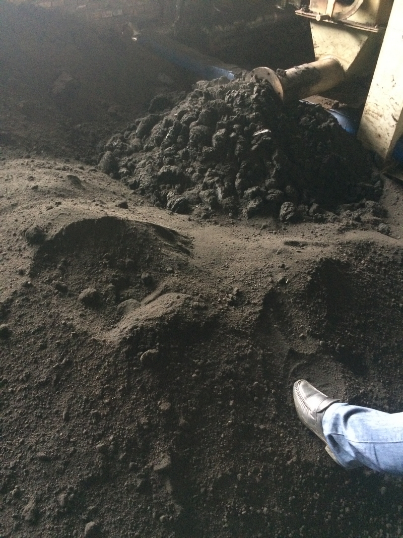 Printing and dyeing sludge before and after drying