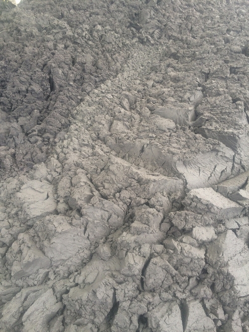 Sewage sludge